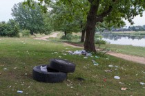 Результаты акция AntiСвин: как было и как стало