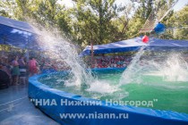 Брызг в дельфинарии всегда много