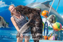 В дельфинарии Немо в Нижнем Новгороде живет северный морской котик Елка