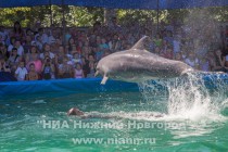 Дельфинарий Немо в Нижнем Новгороде