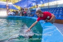 Планируется, что он продолжит свою работу в летнем варианте до сентября 2014 года