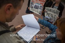 Пикет против сноса дома №46 по ул. Новой прошел в Нижнем Новгороде