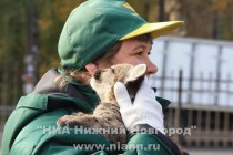 Сотрудник зоопарка с питомцем