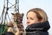 Замдиректора зоопарка Лимпопо по связям с общественностью Мария Лакомкина с детенышем пумы
