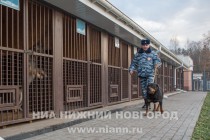 Открытие зонального кинологического центра в Нижнем Новгороде