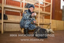 Открытие зонального кинологического центра в Нижнем Новгороде