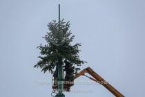 В этом году ель будет искусственной