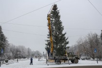 80-летнюю 20-метровую ель на пл. Горького установили в Нижнем Новгороде
