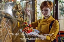 Пресс-секретарь зоопарка Лимпопо демонстрирует угощение для самки ленивца