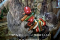 Переселение в клетку началось с праздничного обеда