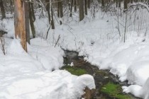 Незамерзающий родник