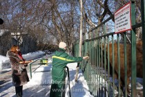 Зубрам блины понравились!