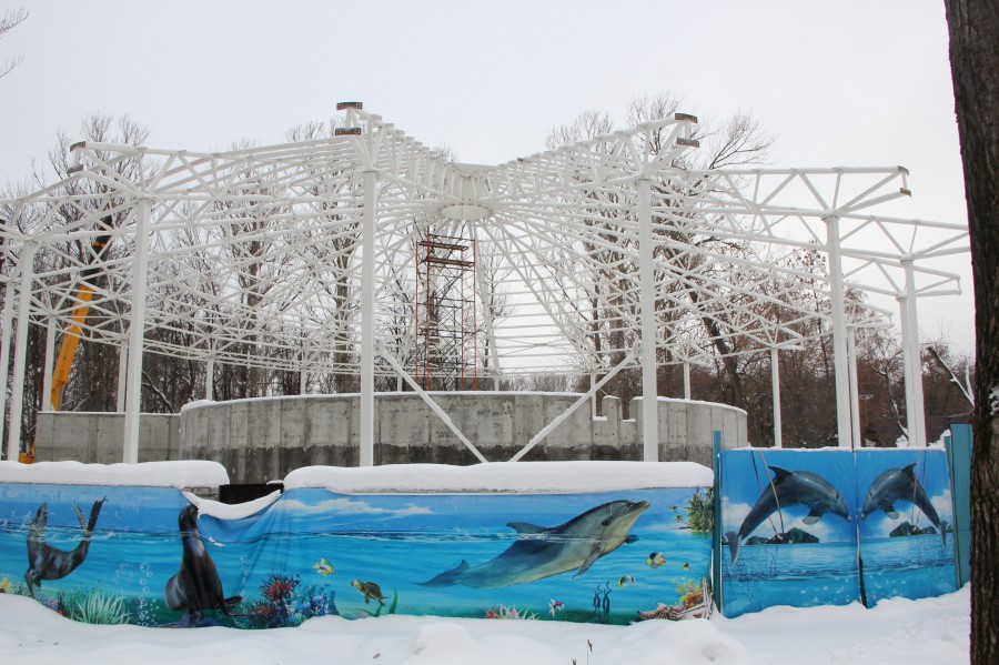 ООО Парк имени 1 мая планирует построить стационарное здание Нижегородского дельфинария к июню 2015 года