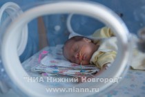 Губернатор Нижегородской области Валерий Шанцев поздравил семью Шутовых с рождением четверняшек