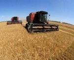 Урожай зерновых в Нижегородской области запланирован в объеме почти 1,4 млн тонн в 2015 году