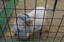 Выездное заседание Клуба парламентских журналистов при Заксобрании Нижегородской области в г. Арзамас