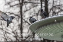 Ввод в эксплуатацию фонтана на площади Минина и Пожарского в Нижнем Новгороде