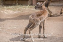 6 мая 2015 года также родилась дочка