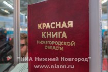 Открытие 17-го Международного научно-промышленного форума Великие реки в Нижнем Новгороде