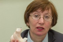 Заседание художественно-экспертного совета по народным художественным промыслам Нижегородской области