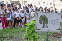 Прапраправнучка Александра Пушкина, герцогиня Аберкорнская Александра Анастасия Гамильтон посетила Нижегородскую областную детскую библиотеку