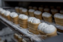 Основные направления деятельности компании  — производство  мороженого, вафельных изделий и шоколадной глазури под торговой маркой Лакомство Колибри