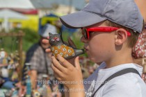 Фестиваль гончарного искусства Город гончаров в Богородске Нижегородской области