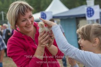 Межрегиональная аграрная выставка Приволжский день поля в Кстовском районе Нижегородской области