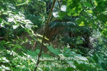 Подпорная стенка для укрепления склона оврага (ОКН регионального значения) в с.Быковка Воротынского района