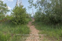 Акция AntiСвин по сбору мусора прошла на берегу Гребного канала в Нижнем Новгороде