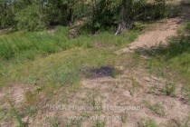 Акция AntiСвин по сбору мусора прошла на берегу Гребного канала в Нижнем Новгороде