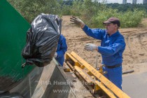 Акция AntiСвин по сбору мусора прошла на берегу Гребного канала в Нижнем Новгороде