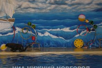 Обновленный дельфинарий открылся в парке имени 1 мая в Нижнем Новгороде