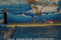 Обновленный дельфинарий открылся в парке имени 1 мая в Нижнем Новгороде