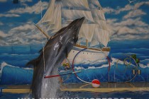 Обновленный дельфинарий открылся в парке имени 1 мая в Нижнем Новгороде