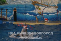 Обновленный дельфинарий открылся в парке имени 1 мая в Нижнем Новгороде