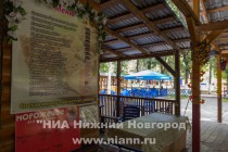 Нижегородское кафе Фламинго после инцидента с сестрой Натальи Водяновой временно закрылось