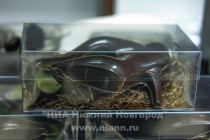 Открытие передвижной выставки шоколада в Нижнем Новгороде