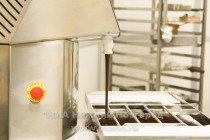 Открытие передвижной выставки шоколада в Нижнем Новгороде