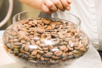 Открытие передвижной выставки шоколада в Нижнем Новгороде