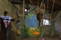 Нижегородский зоопарк Лимпопо отметил Праздник тыквы