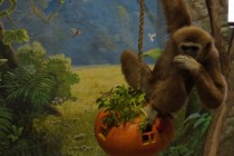 Нижегородский зоопарк Лимпопо отметил Праздник тыквы