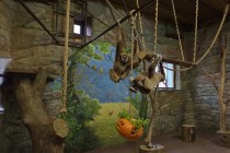 Нижегородский зоопарк Лимпопо отметил Праздник тыквы