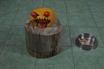 Нижегородский зоопарк Лимпопо отметил Праздник тыквы