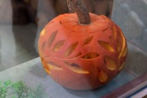 Нижегородский зоопарк Лимпопо отметил Праздник тыквы