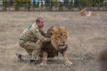 Белогорский парк львов Тайган — крупнейший в Европе питомник львов и других видов животных