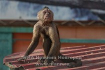 Прогулка по парку львов Тайган - это возможность зарядиться положительными эмоциями