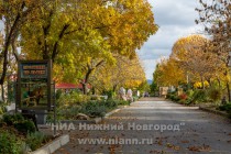 Парк львов Тайган расположен в г.Белогорск в относительной близости от основных курортов Крыма: Ялты, Алушты, Судака и Феодосии