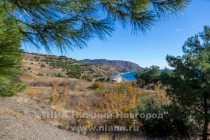 Предполагается, что за весь 2015 год Крым посетит 4,5 млн туристов