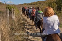 Осликов можно покормить, сфотографироваться с ними на память, и, конечно же, прокатиться на них по живописному уголку горного Крыма - Каралезской долине